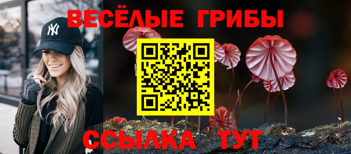 Псилоцибиновые грибы MAGIC MUSHROOMS Лянтор