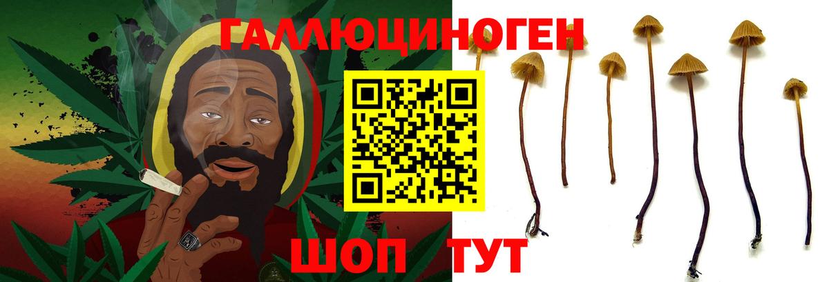 где найти   Вход с VPN  Лянтор  Псилоцибиновые грибы GOLDEN TEACHER 